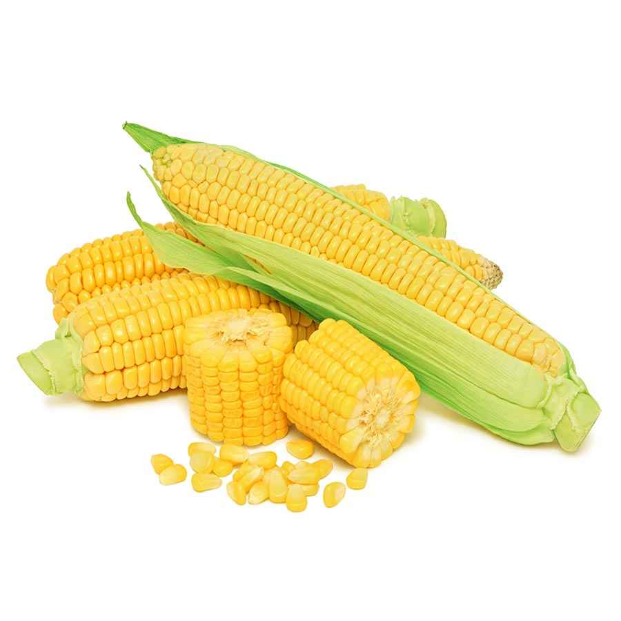 Fruit & Vegetable Bucket - 6 Pack - Emergency Survival Food Kit