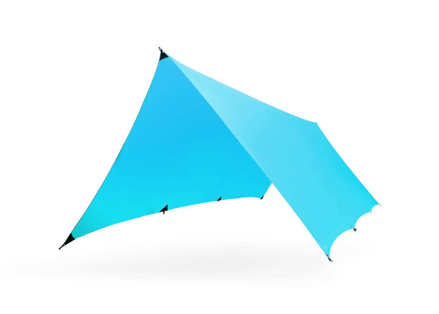 Kuhli