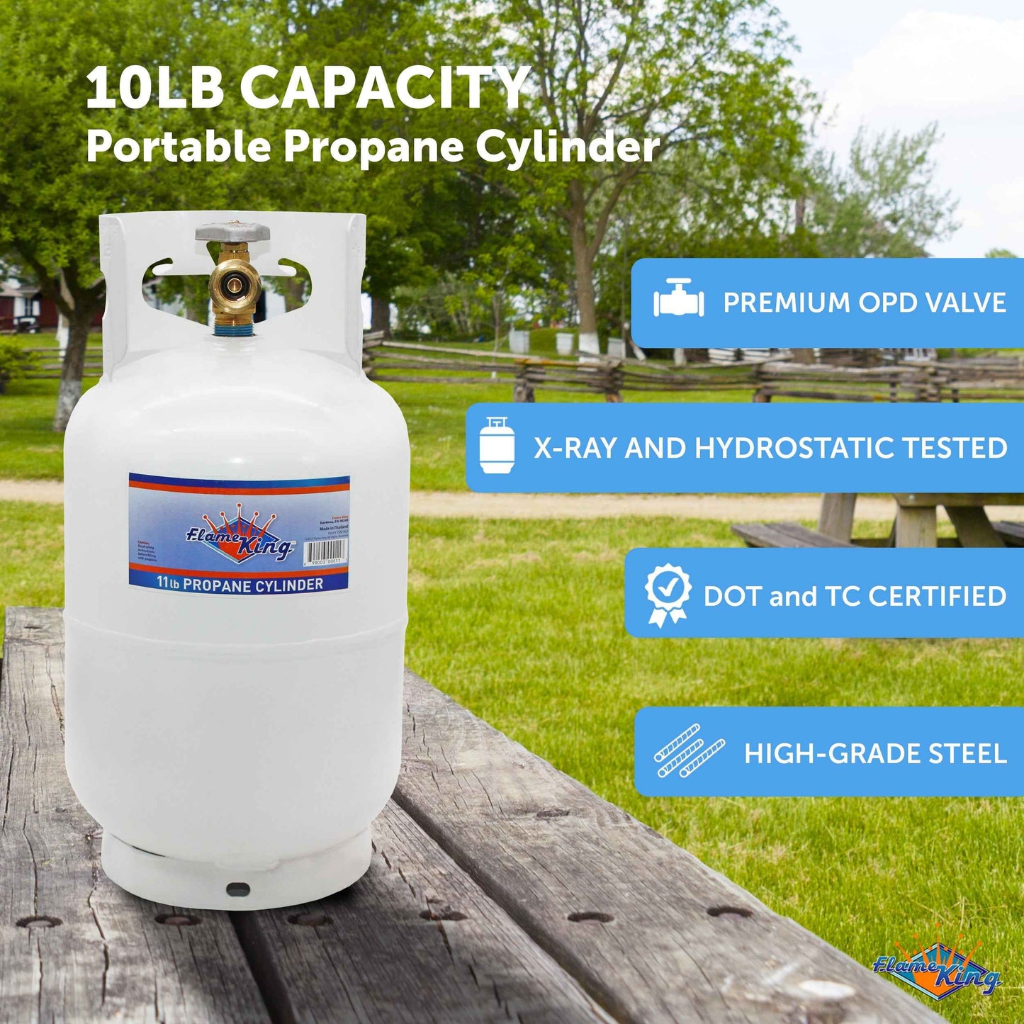 Flame King 10lb Propane Tank LP Cylinder with OPD